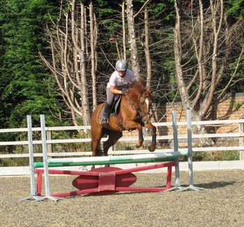 Leicestershire Area Training